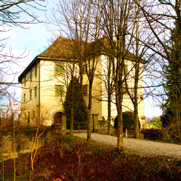 Schloss Elgg